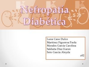 Nefropata Diabtica Luna Cano Dulce Martnez Figueroa Paola