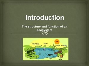 Structure and function of an ecosystem