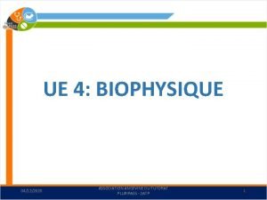 UE 4 BIOPHYSIQUE 04122020 ASSOCIATION ANGEVINE DU TUTORAT