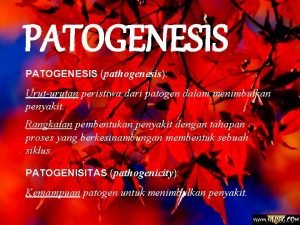 PATOGENESIS pathogenesis Uruturutan peristiwa dari patogen dalam menimbulkan