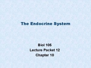 The Endocrine System Biol 105 Lecture Packet 12