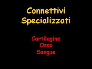 Connettivi Specializzati Cartilagine Osso Sangue Osso Connettivo specializzato