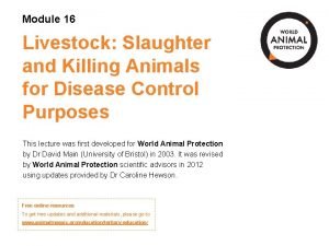 Module 16 Livestock Slaughter and Killing Animals for