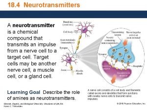 Neurotransmitter