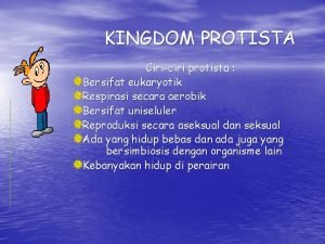 KINGDOM PROTISTA Ciriciri protista Bersifat eukaryotik Respirasi secara