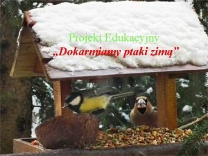 Projekt Edukacyjny Dokarmiamy ptaki zim Nasza Grupa Ada