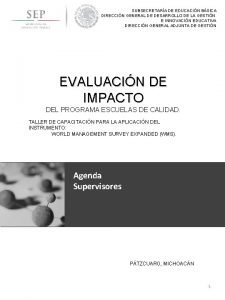 SUBSECRETARA DE EDUCACIN BSICA DIRECCIN GENERAL DE DESARROLLO