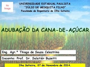 UNIVERSIDADE ESTADUAL PAULISTA JLIO DE MESQUITA FILHO Faculdade