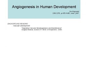 Angiogenesis in Human Development Jan Kitajewski ICRC 217