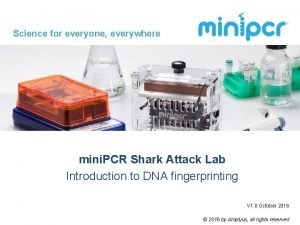 Science for everyone everywhere mini PCR Shark Attack