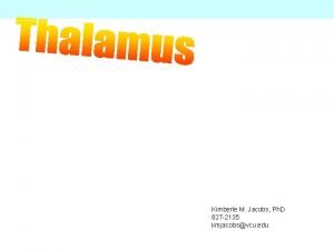 Thalamus function