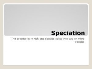 Speciation The process by which one species splits