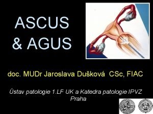 ASCUS AGUS doc MUDr Jaroslava Dukov CSc FIAC