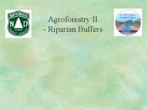 Agroforestry II Riparian Buffers I Riparian Buffers Benefits