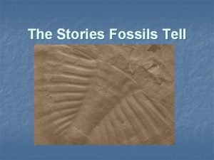 The Stories Fossils Tell Can you name the