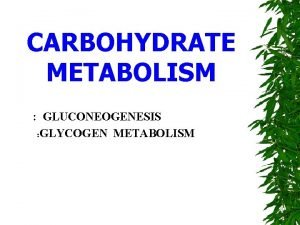 CARBOHYDRATE METABOLISM GLUCONEOGENESIS GLYCOGEN METABOLISM REGULATION OF GLUCONEOGENESIS
