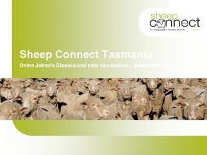 Sheep Connect Tasmania Ovine Johnes Disease and safe