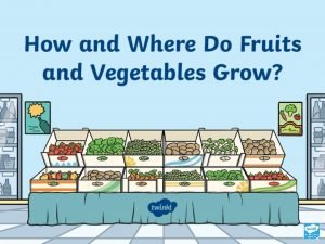 How and Where Do Fruits and Vegetables Grow