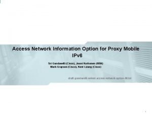 Access Network Information Option for Proxy Mobile IPv