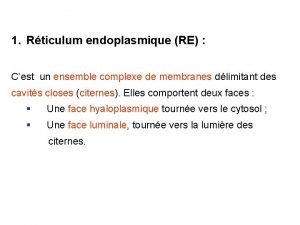 1 Rticulum endoplasmique RE Cest un ensemble complexe