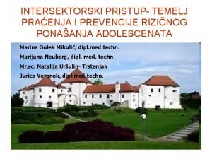 INTERSEKTORSKI PRISTUP TEMELJ PRAENJA I PREVENCIJE RIZINOG PONAANJA