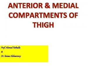 Floor of femoral triangle Floor of femoral triangle