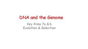 DNA and the Genome Key Area 7 a