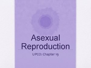 Chapter 19 asexual reproduction Chapter 19 asexual reproduction