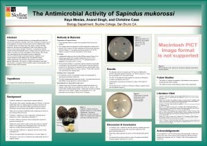 The Antimicrobial Activity of Sapindus mukorossi Raya Mesias