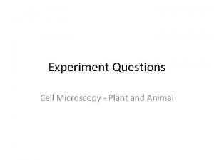 Experiment Questions Cell Microscopy Plant and Animal Cell