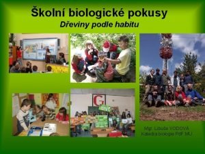 koln biologick pokusy Deviny podle habitu Mgr Libue