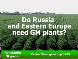 Do Russia and Eastern Europe need GM plants