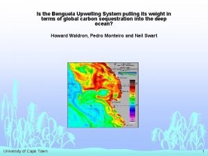 Is the Benguela Upwelling System pulling its weight