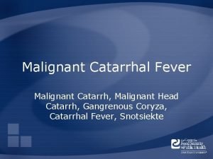 Malignant Catarrhal Fever Malignant Catarrh Malignant Head Catarrh
