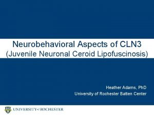 Neurobehavioral Aspects of CLN 3 Juvenile Neuronal Ceroid
