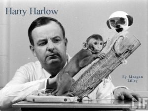 Harry Harlow By Meagan Lilley Harry Harlow Was