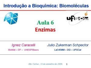 Introduo a Bioqumica Biomolculas Aula 6 Enzimas Ignez