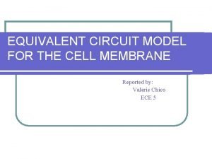 Cell membrane circuit model