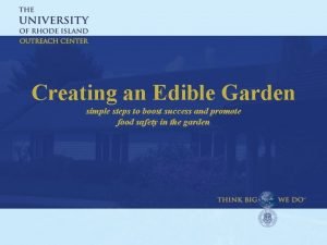 Creating an Edible Garden simple steps to boost