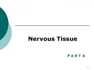 Nervous Tissue Fundamentals of the Nervous P A