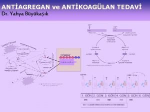 ANTAGREGAN ve ANTKOAGLAN TEDAV Dr Yahya Bykak ARTER