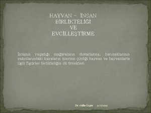 HAYVAN NSAN BRLKTEL VE EVCLLETRME nsann yaad maaralarn