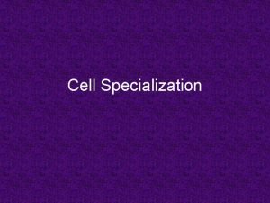 Cell Specialization Unicellular Organism consists of only one