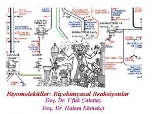 Biyomolekller Biyokimyasal Reaksiyonlar Do Dr Ufuk akatay Do