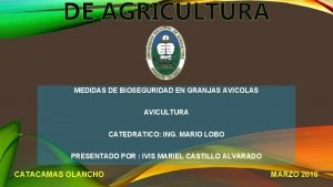 Medidas de bioseguridad en granjas avicolas