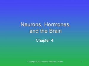 Neurons Hormones and the Brain Chapter 4 Copyright