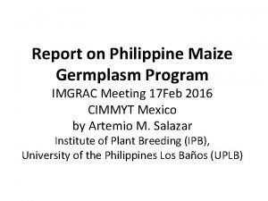 Report on Philippine Maize Germplasm Program IMGRAC Meeting