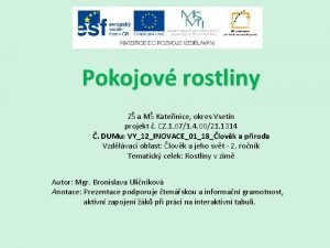 Pokojov rostliny Z a M Kateinice okres Vsetn