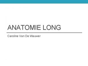 ANATOMIE LONG Caroline Van De Wauwer Trachea Bronchi