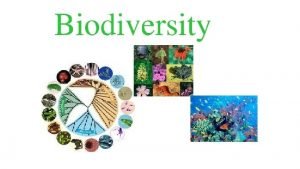 Biodiversity biological diversity variety and variability of species
